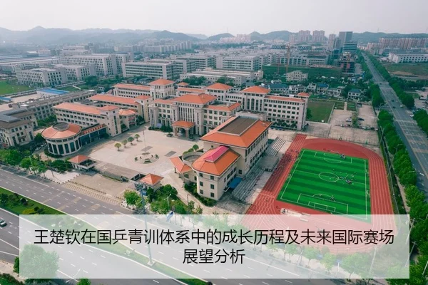 王楚钦在国乒青训体系中的成长历程及未来国际赛场展望分析